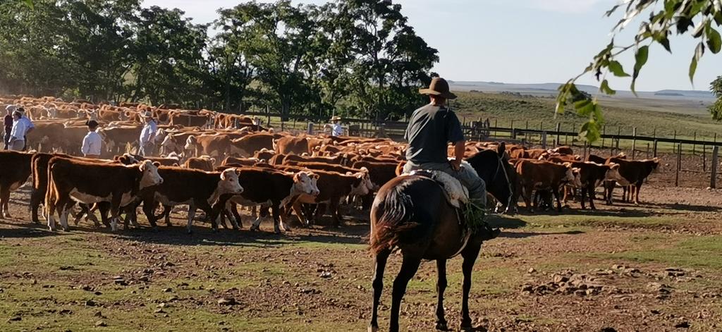 Taller Gestión del Pasto en el predio laboratorio Cerro del Bombero