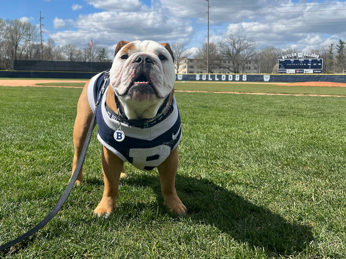 Butler Blue IV tweet media