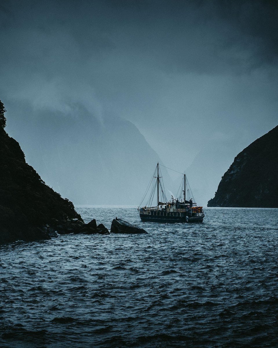 KuhrMarvin's tweet photo. A journey through the fjords of New Zealand. https://t.co/Ezc15fMxXa