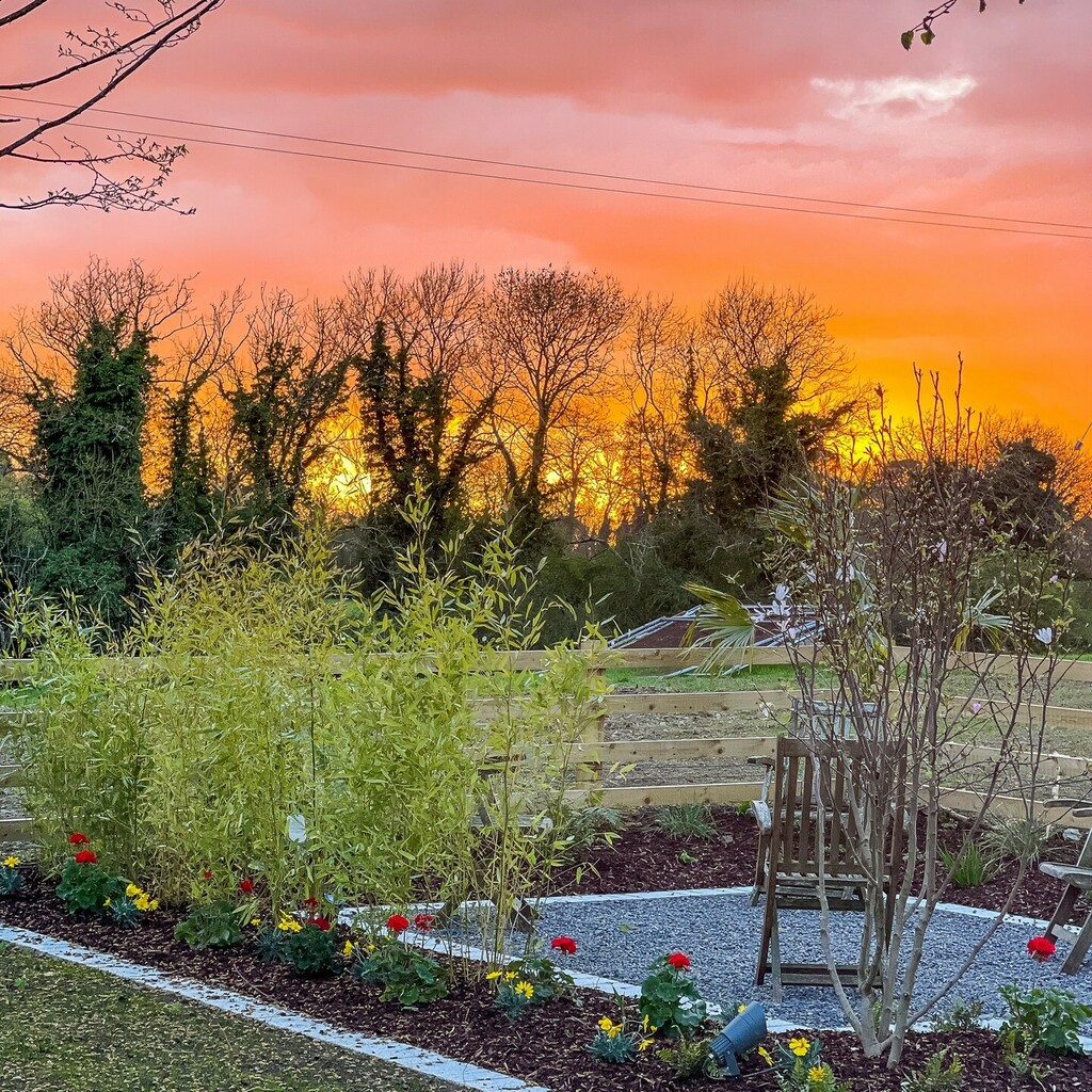 Gorgeous sunset this evening 🌅

#sunset #attheendoftheday #renovatingElkra #renovationproject
#selfbuildireland #ouroldnewhouse #landscape instagr.am/p/Cci5JQtt28m/