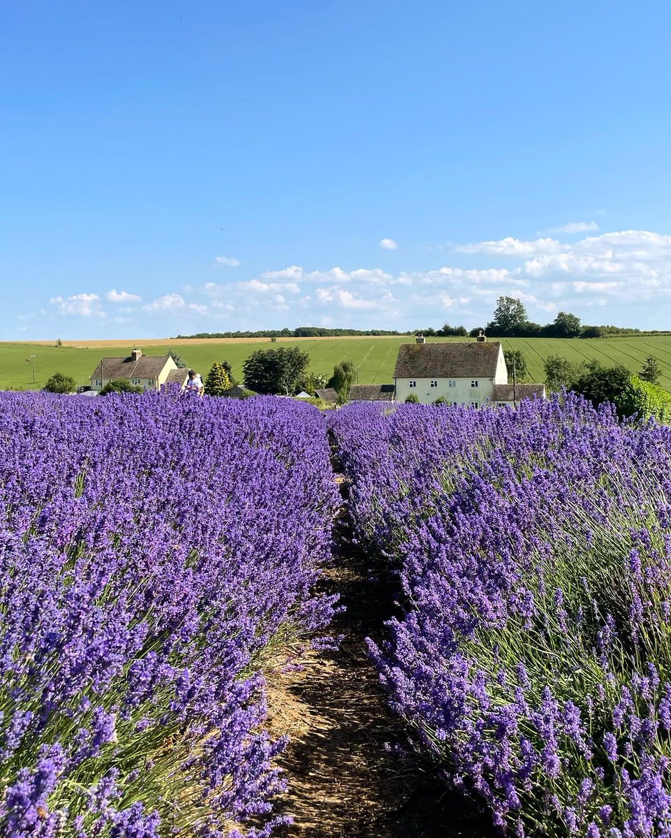 Visit The Cotswolds tweet media