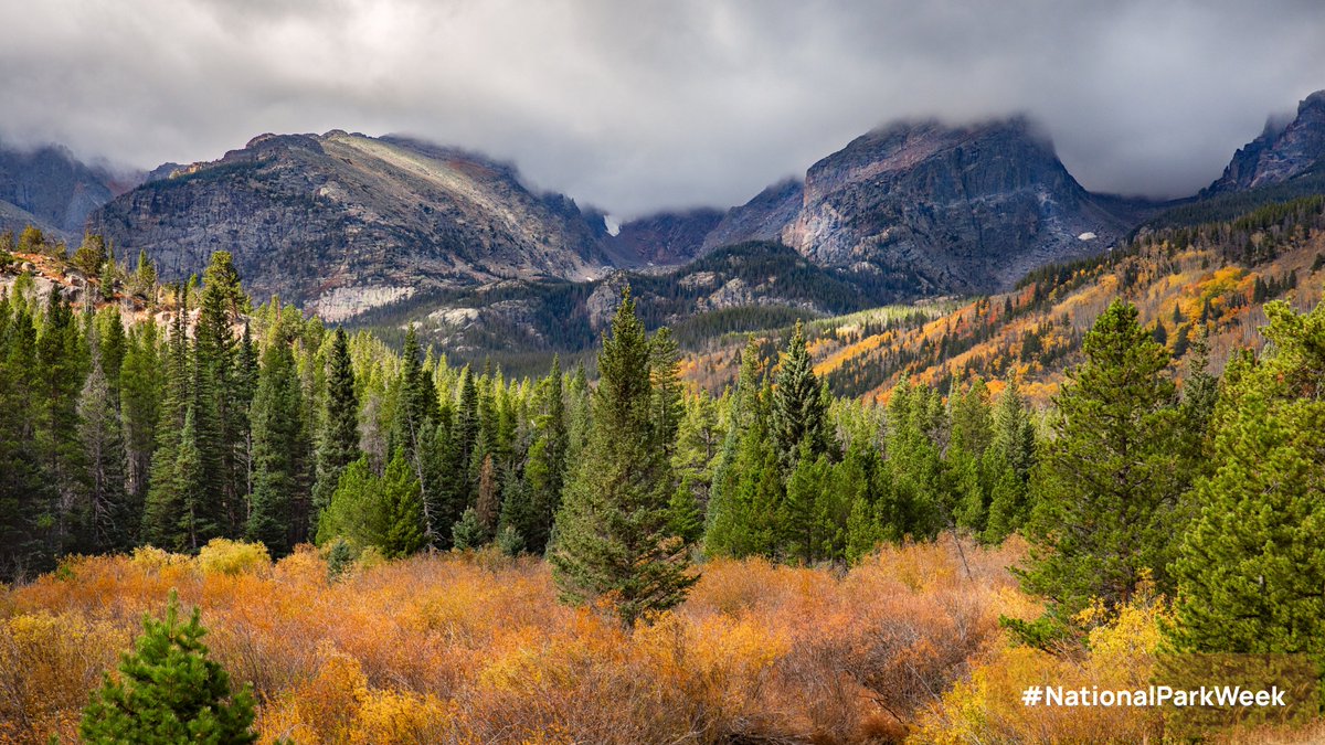 Perch Energy (@perchenergy) on Twitter photo In 2018, <a href="/RockyNPS/">RockyNPS</a> installed a large #solar array covering nearly the entire South side of the Trail Ridge Store roof. This system includes 153 panels and the estimated carbon dioxide offset of this project is 123,090 pounds per year! #NationalParkWeek shop.trailridgegiftstore.com/sustainability… In 2018, <a href="/RockyNPS/">RockyNPS</a> installed a large #solar array covering nearly the entire South side of the Trail Ridge Store roof. This system includes 153 panels and the estimated carbon dioxide offset of this project is 123,090 pounds per year! #NationalParkWeek shop.trailridgegiftstore.com/sustainability…