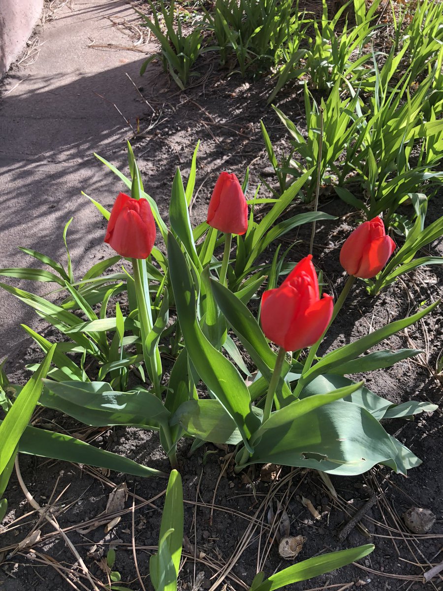 soooz001's tweet photo. Hey y’all. #web3 moves at the speed of light. Don’t forget to get outside, touch grass and smell the flowers. #hughub https://t.co/UlNJ8xXwEO