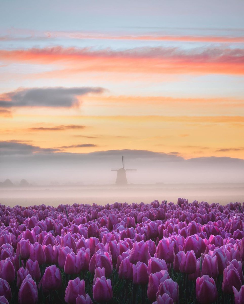 Mooie donderdag! Liefs, #TeamPositief

📸 Chalana Smissaert #Goedemorgen