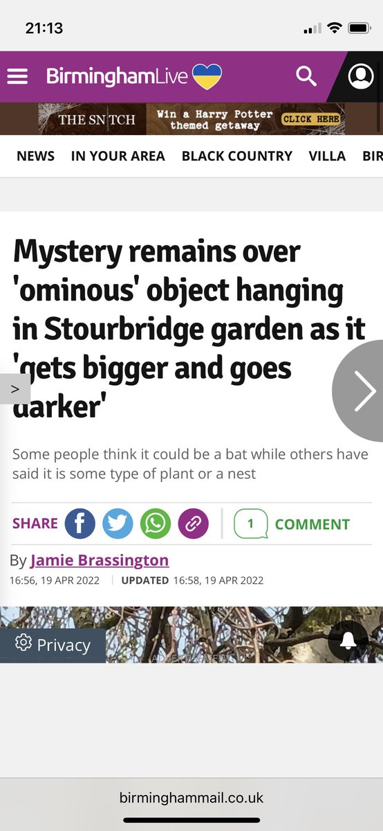 NicolaPartridg2's tweet photo. @MrJHessel no idea what the hashtag was but I’ll have a crack at #ThingsFoundInTrees - fuck it if I’ve got it wrong - but I’ve just stumbled upon this report whilst looking up something online. No idea which bit of town. https://t.co/pl6PHAr4Ve https://t.co/5Y5LboPrfk