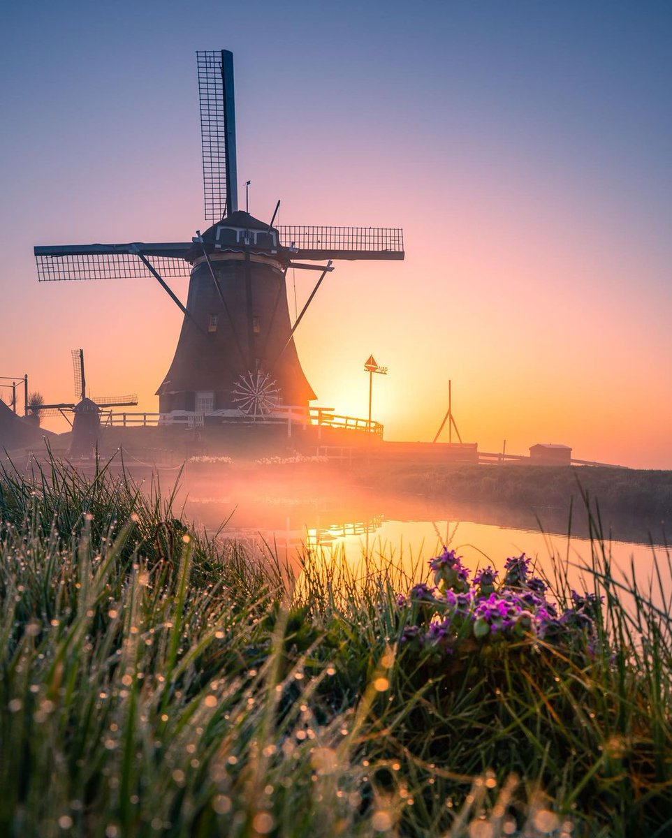 Fijne #TerugVolgVrijdag. Wie ons volgt, volgen wij terug. Net als alle andere dagen van de week. Liefs, #TeamPositief

📸 Wilco #Goedemorgen