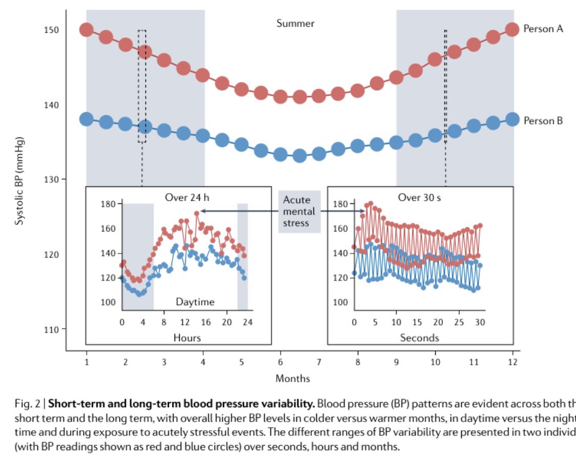 alta_schutte's tweet photo. Just out our review on #bloodpressure and its #variability in @NatRevCardiol *message = blood pressure fluctuates all the time and these fluctuations are not harmless. Read to note potential of new #cuffless techniques if accuracy can be assured @ISHBP 
https://t.co/lEKcPXEwde https://t.co/1ic0wKR1t0