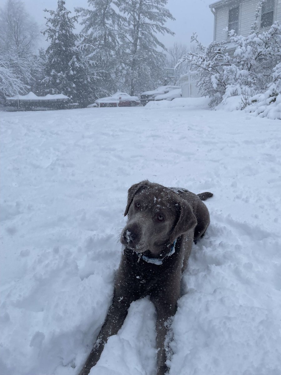 CD200020001's tweet photo. @UVABaseball Rocco https://t.co/yXDWuTxUGP