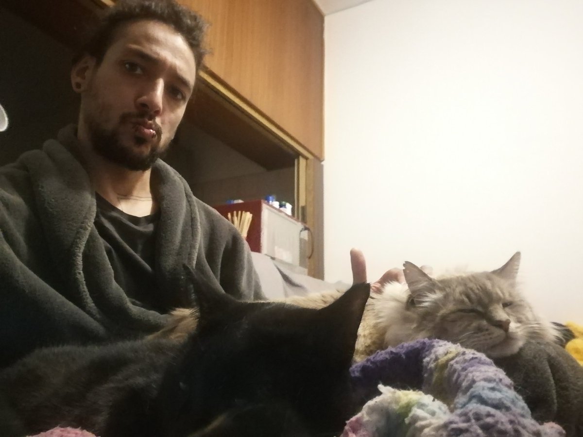 MattyMyst's tweet image. My boys giving me cuddles while we get sage advice from Uncle Iroh.

#kindnessispunk #twitchaffiliate #leagueoflegends #pierced #blackouttattoo #catdad