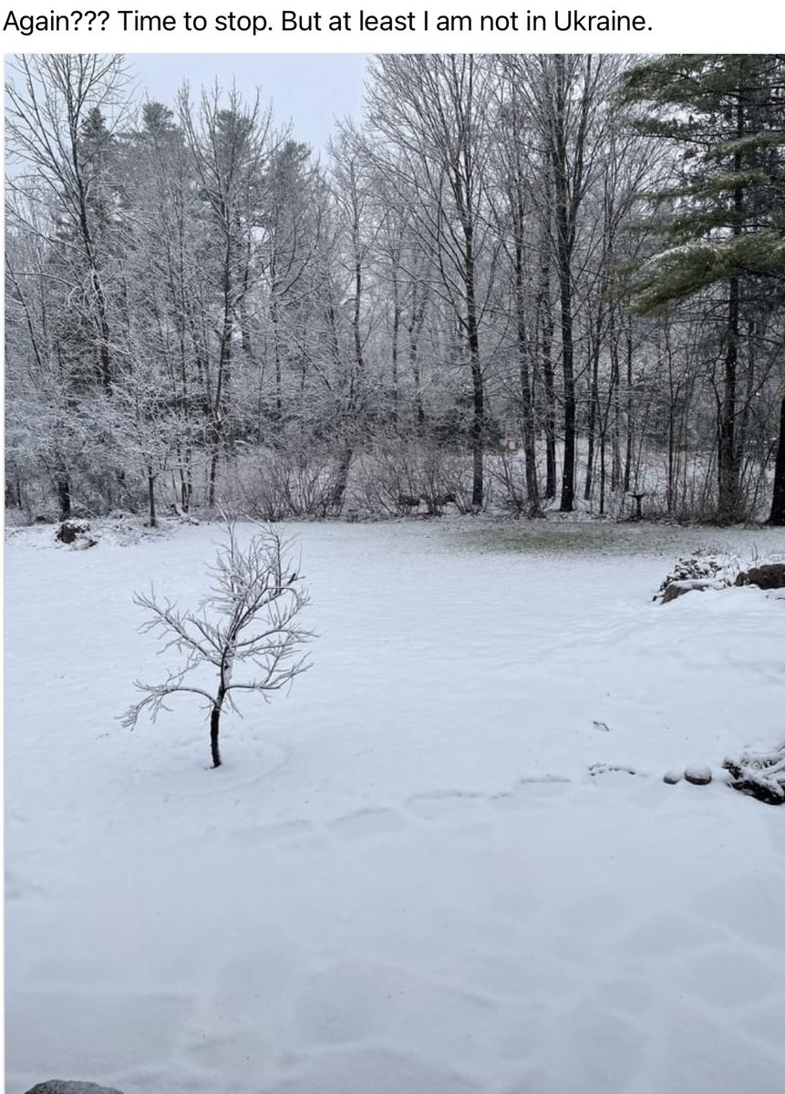 cocoandboris's tweet photo. More snow arrived today in my friend’s garden in Chelsea….
Grateful she is in Chelsea, Quebec and not Ukraine.
#CountOurBlessings https://t.co/Mq1RqZ0jAm