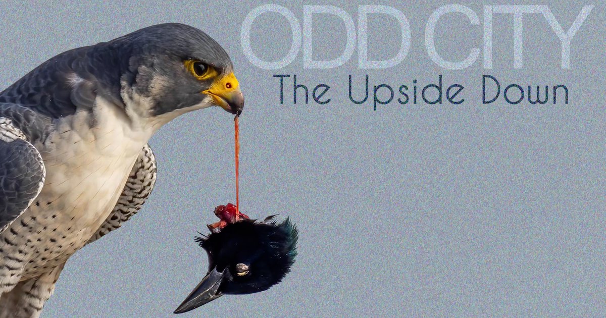 Like that single we dropped?  Want to see it with words and pretty pictures?  We can do that for you.  If you can't read, that's ok too.  We'll help.  We are a full service band.  Link to the video below.

youtu.be/F9cV_hivxWI