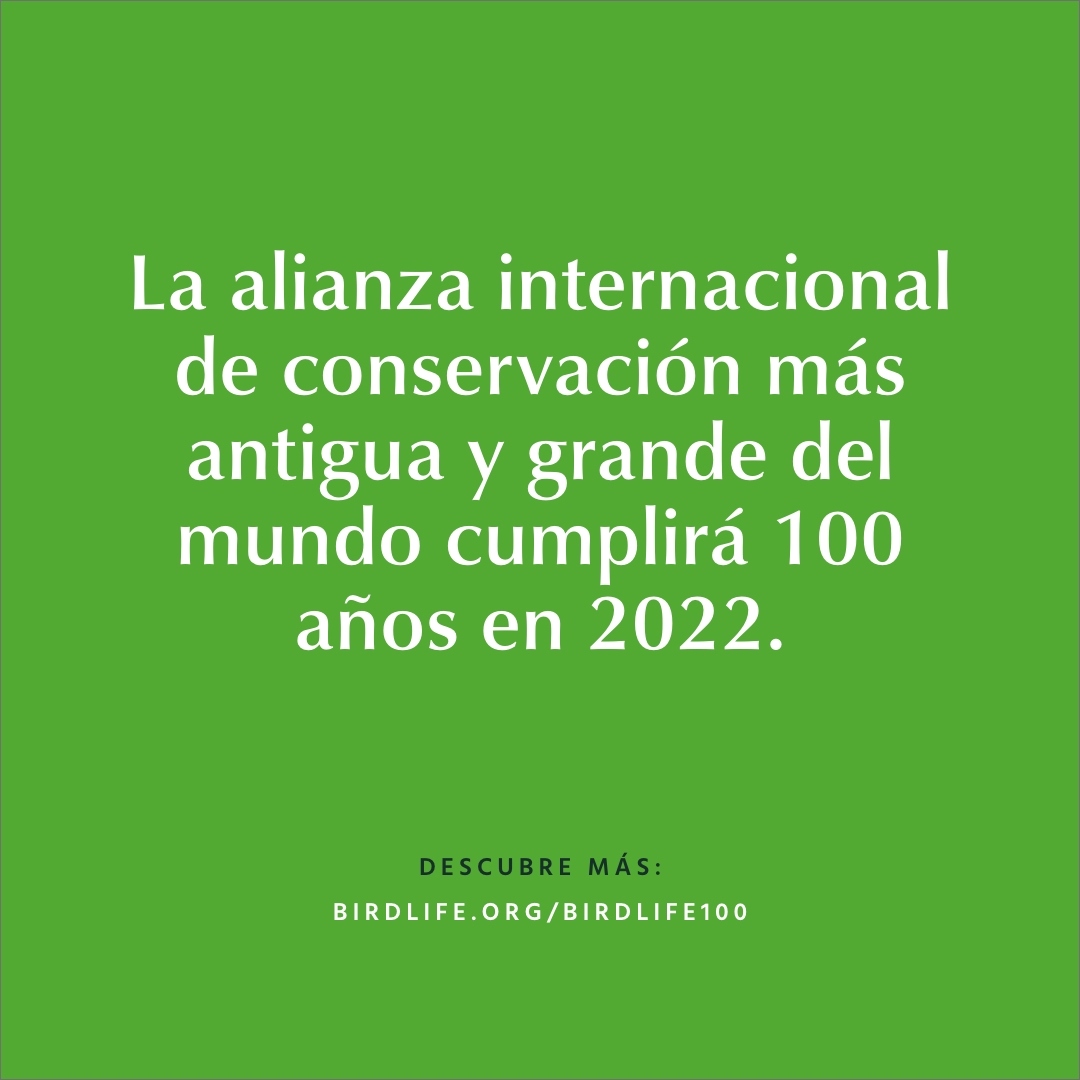 AsoCalidris's tweet photo. 1 año para inspirar
10 años para actuar
100 años de BirdLife
Es hora.
#100YearsofConservation #10YearsToAct #1YearToInspire https://t.co/r4raaynqBw