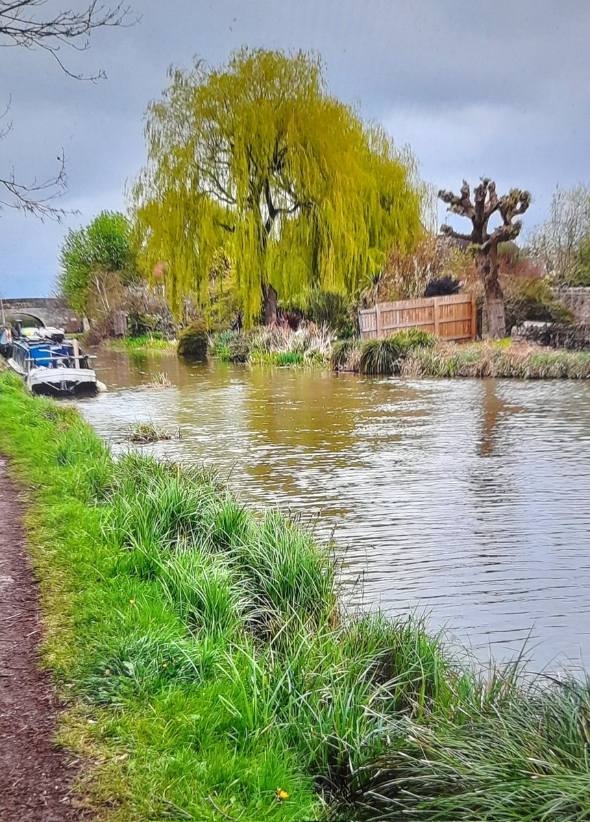 Studley Guides had a half term walk along the Kennet and Avon Canal at Devizes
#outandabout #halfterm #walking
#canals #kennetandavon @CanalRiverTrust @GirlguidingSWE