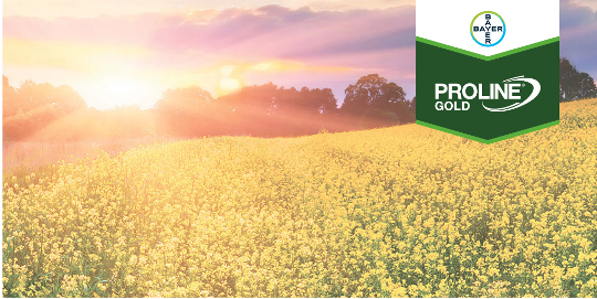 Introducing the ultimate power couple: DEKALB Canola + Proline GOLD. Proline GOLD fungicide is designed to combat sclerotinia and delivers outstanding protection in higher disease pressure situations. Top quality canola intertwined with premium fungicide? Yes please!