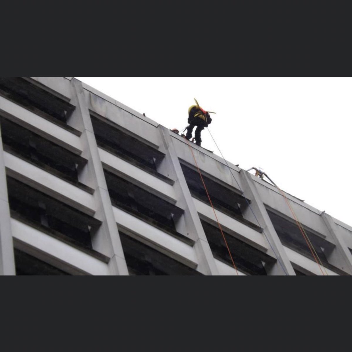 BWUCheerleading's tweet photo. And don’t forget our very own Stinger rappelled off a building a few years ago raising money for the @BeTheMatch foundation! https://t.co/l1GXrBL2hH