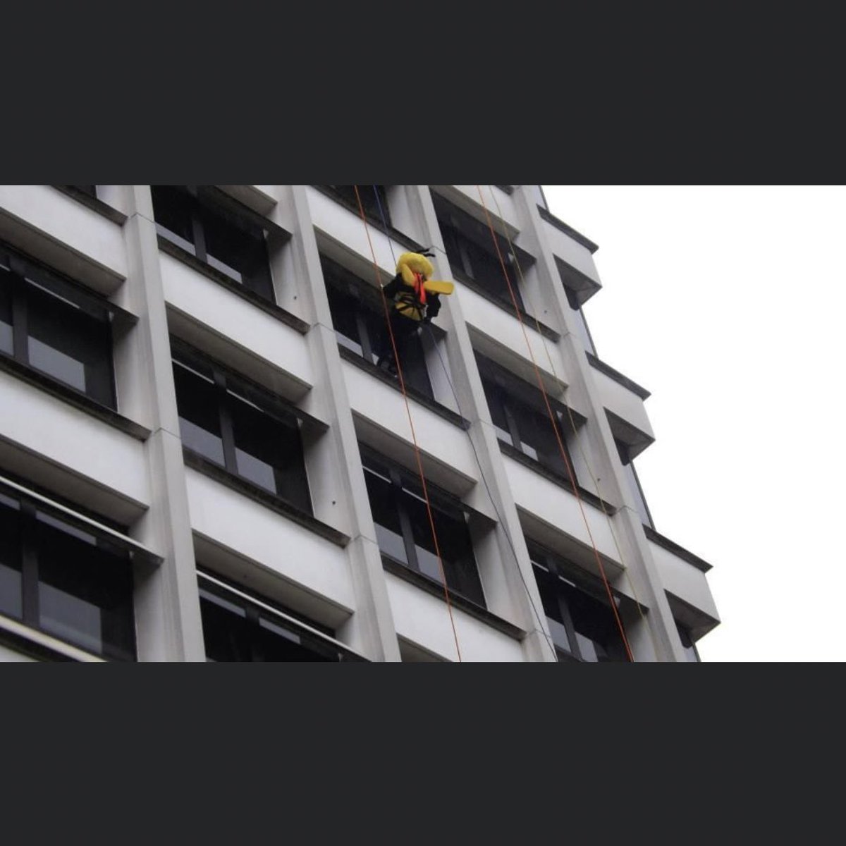 BWUCheerleading's tweet photo. And don’t forget our very own Stinger rappelled off a building a few years ago raising money for the @BeTheMatch foundation! https://t.co/l1GXrBL2hH