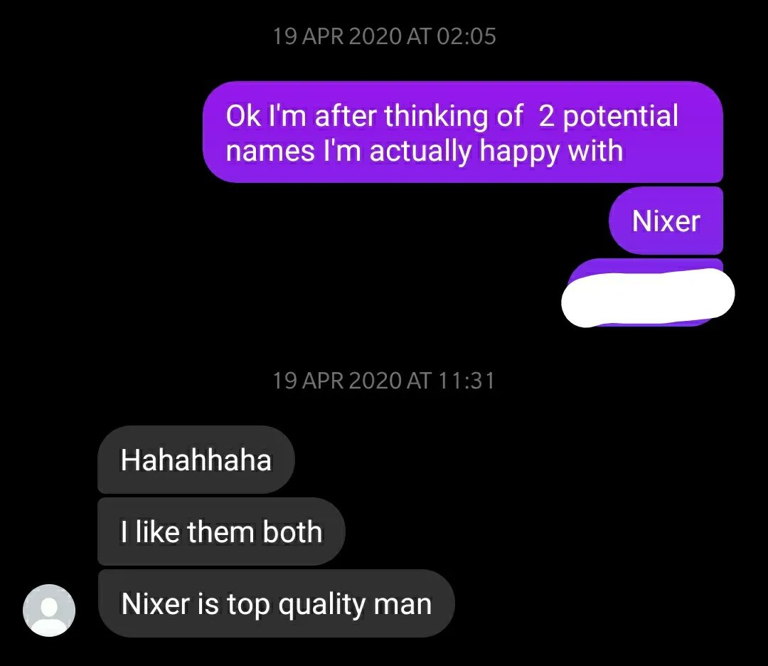 Nixer tweet media