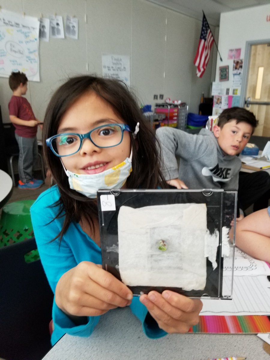 qcsciencecoach's tweet photo. 2nd grade students @GPA_Aviators  learned about parts of a plant and grew their own plant in a CD case!  They labeled the parts and learned what they need to grow.  @QCUSD_Super @qcusd #sciencekits #QCLeads #cuttingedgeatQCUSD https://t.co/Rsa34AxSgd