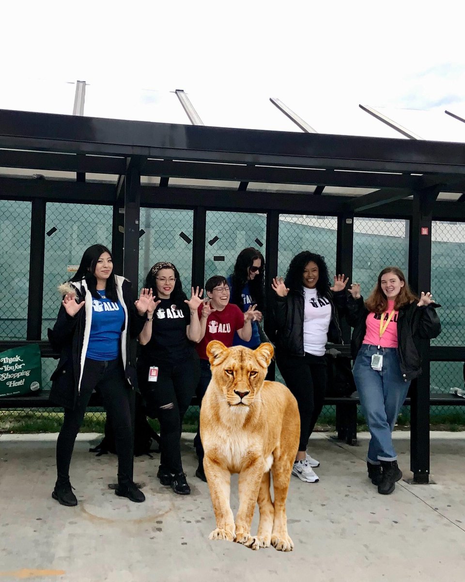 MeanGreenGirlss's tweet photo. Ladies of the ALU !!! Strong fearless &fabulous Union women !!! #women #unionwomen #Alu #unionstrong #fuckjeffbezos #fuckzack #fuckfelipe #notmyGM #notmyceo #Abolishbillionares https://t.co/XjEyWRwjJI