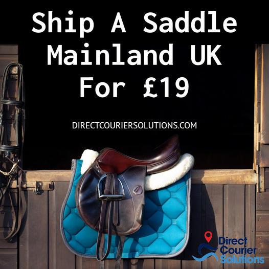 dcsuk's tweet photo. Wild Horses Couldn't Drag You Away From These Prices!
Insurance up to £5,000.
https://t.co/HIen3o7P3c

#horseriding #horsesaddle #saddledelivery #horsesaddlecourier #horsetack #horsetackdelivery https://t.co/iVWvqvjrdJ