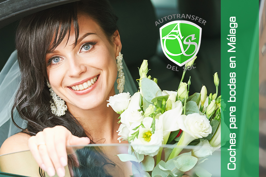 Autotransfer del Sol tweet media