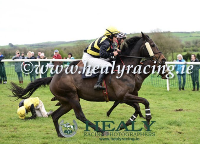 A series of unfortunate events before finishing 2nd on Outrageous Fortune at the weekend 🐝 <a href="/TlcoganTara/">Tara Browne</a>