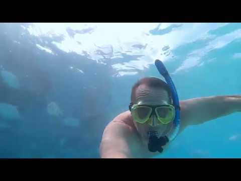 alojapan's tweet photo. Bahamas Vacation 2019
https://t.co/q60awfHTJf
#BahamasVacation #CompassCay #GoPro #Hero7Black #NewProvidence #Osaka https://t.co/eyV2Dly6bx