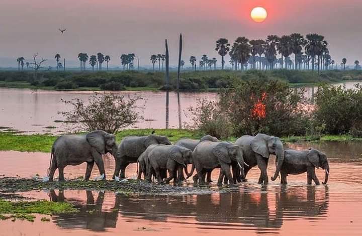 zoomafrika1's tweet photo. Beautiful Tanzania 🇹🇿😍 https://t.co/U22ZUlsVB2
