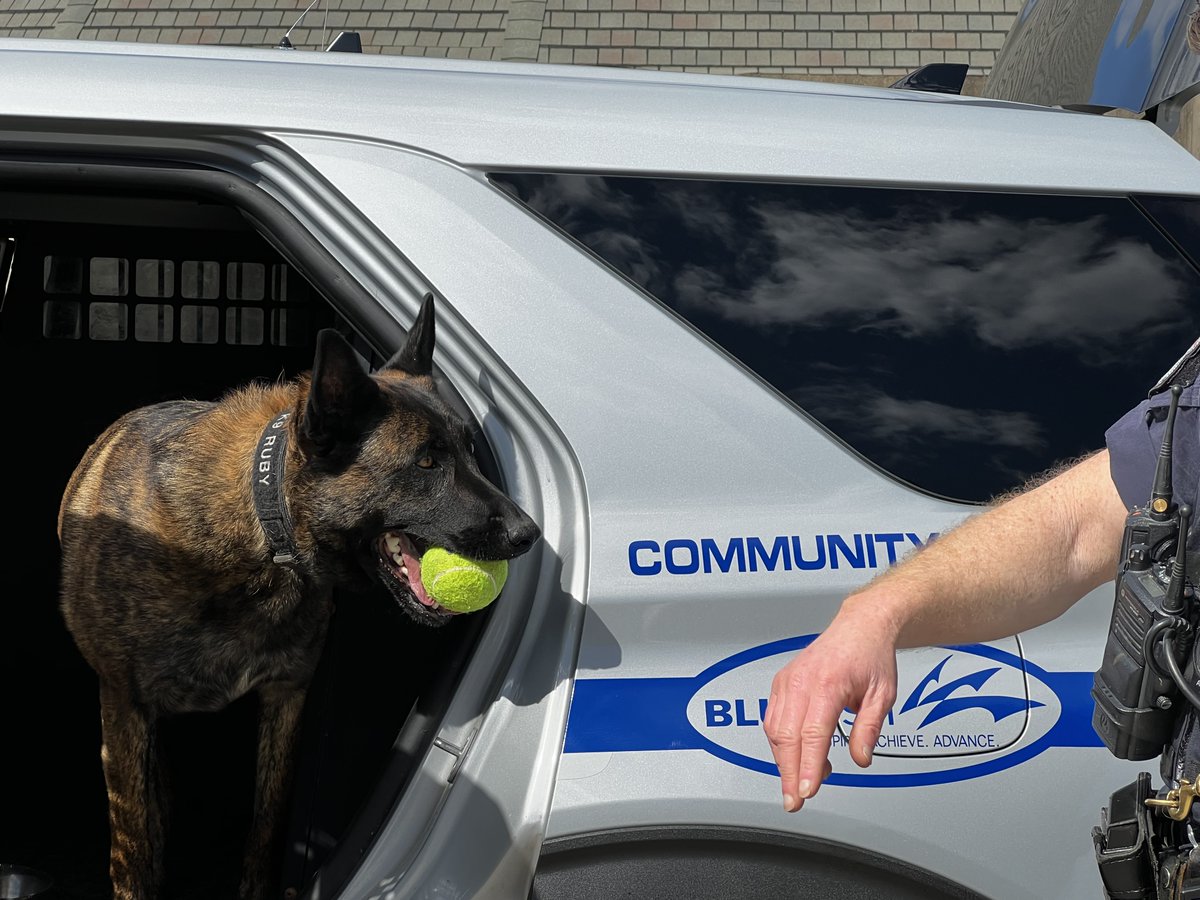 BlueAshPD's tweet photo. #RubysTuesday It's going to be warm this week. Does anyone want to play ball with me?
#girlpower #policeK9 #shallowcreekkennels https://t.co/zozPThtxVW