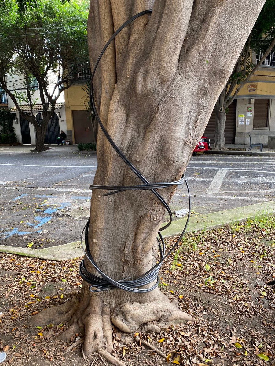 Wichaaaa's tweet photo. @mauriciotabe @UNACDMX_OFICIAL Sobre la calle de descartes entre Darwin y Víctor Hugo. Dejo las horribles telarañas de cables que solo dejan ahí bolas y sin retirar los cables que ya no funcionan. https://t.co/CanEw75uTO