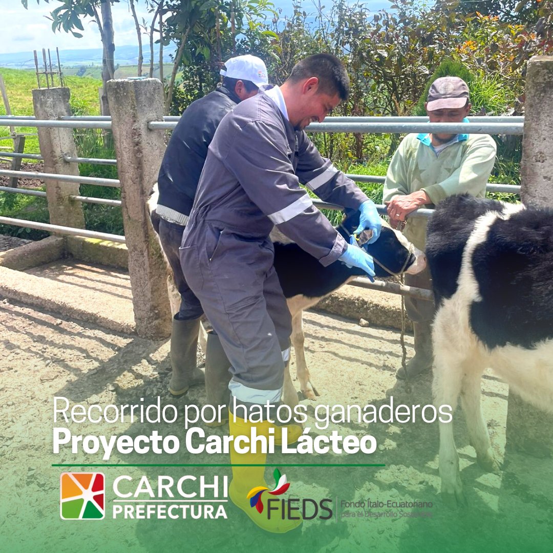 CarchiPrefectur's tweet photo. #ReactivaciónProductiva
Productores y productoras de leche 🐄nos acompañaron en un recorrido por algunos #hatos lecheros así como plantas queseras. Estas iniciativas son fortalecidas en el marco del proyecto #CarchiLácteo que impulsa el FIEDS - Fondo Ítalo Ecuatoriano. https://t.co/mNka7twD7V