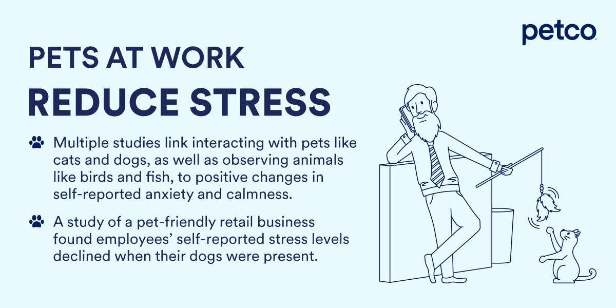 RCoughlinPetco's tweet photo. Employers looking to beat the #GreatResignation, listen up. Nearly half of #pet parents want a pet-friendly workplace & 41% would consider a new job if they could bring pets to work. A pet-friendly workplace is a no-brainer. @Petco can help: https://t.co/y9jEqKlJdy #PetsatWorkDay https://t.co/3sObn6BPrL