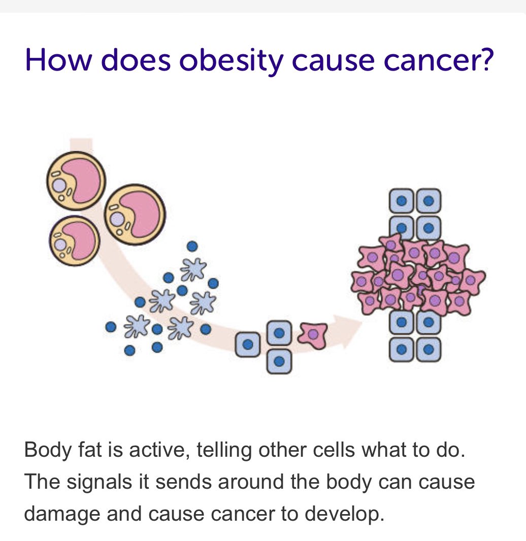 Dr Muffi tweet media