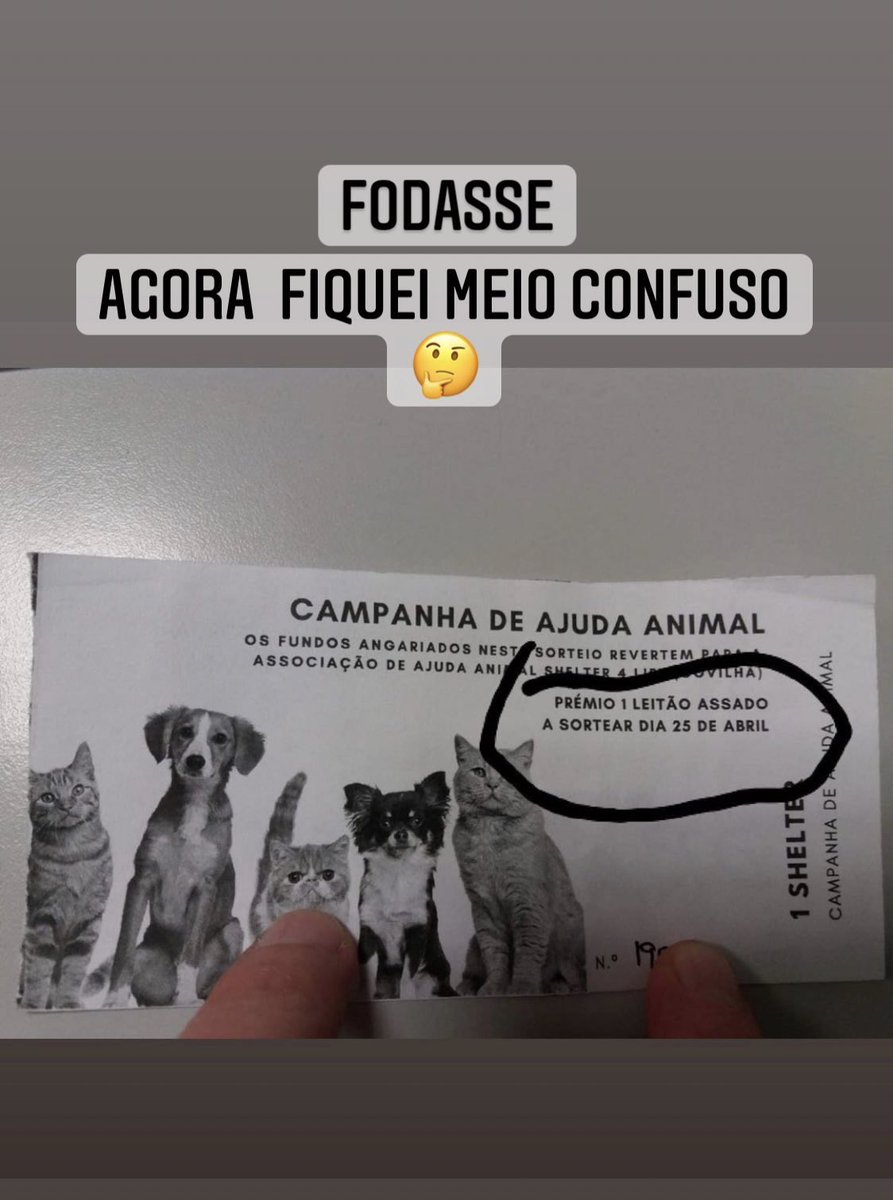 Recuso-me a acreditar que isto é real 💀