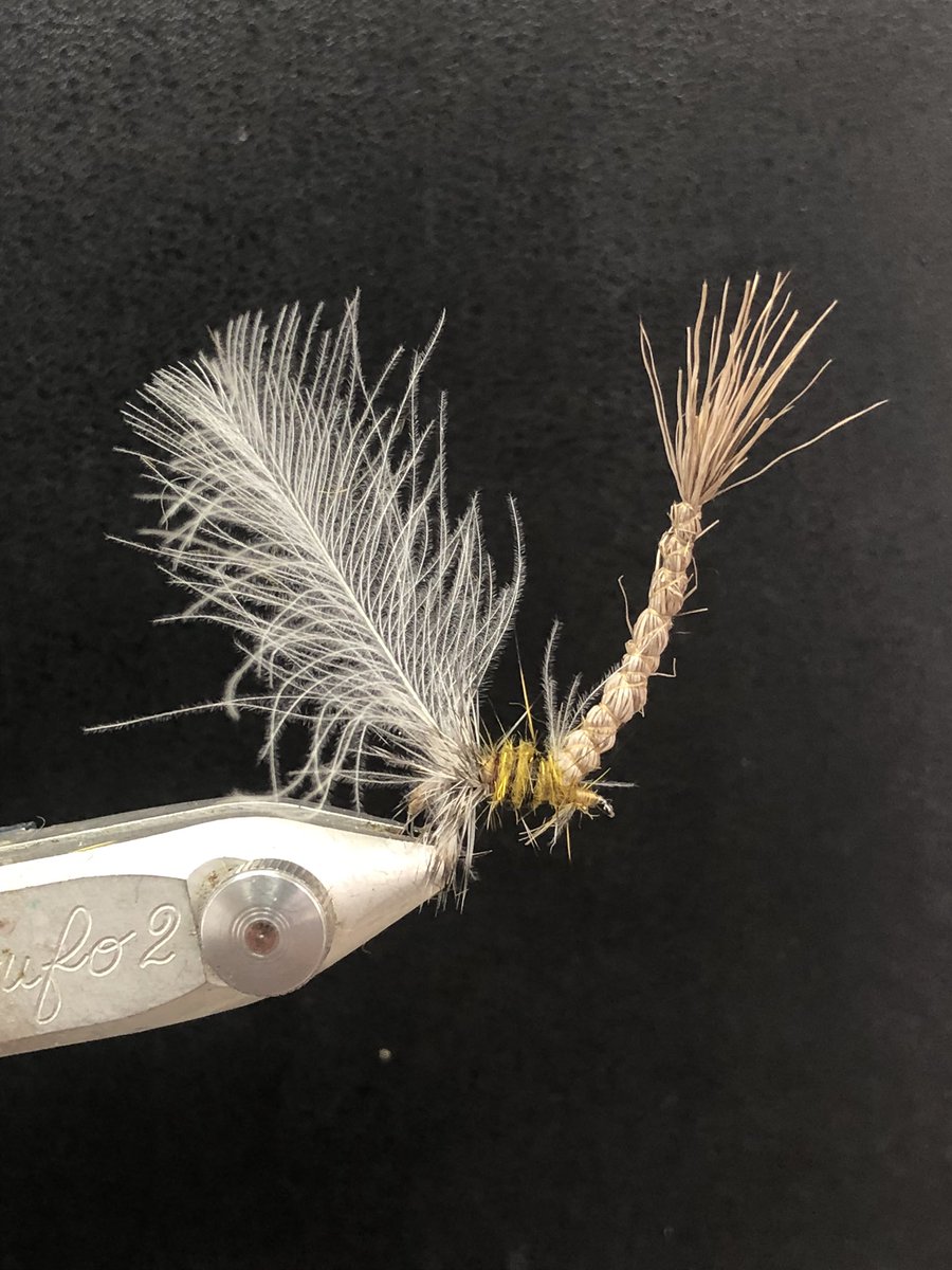 Nigel Nunn tweet media