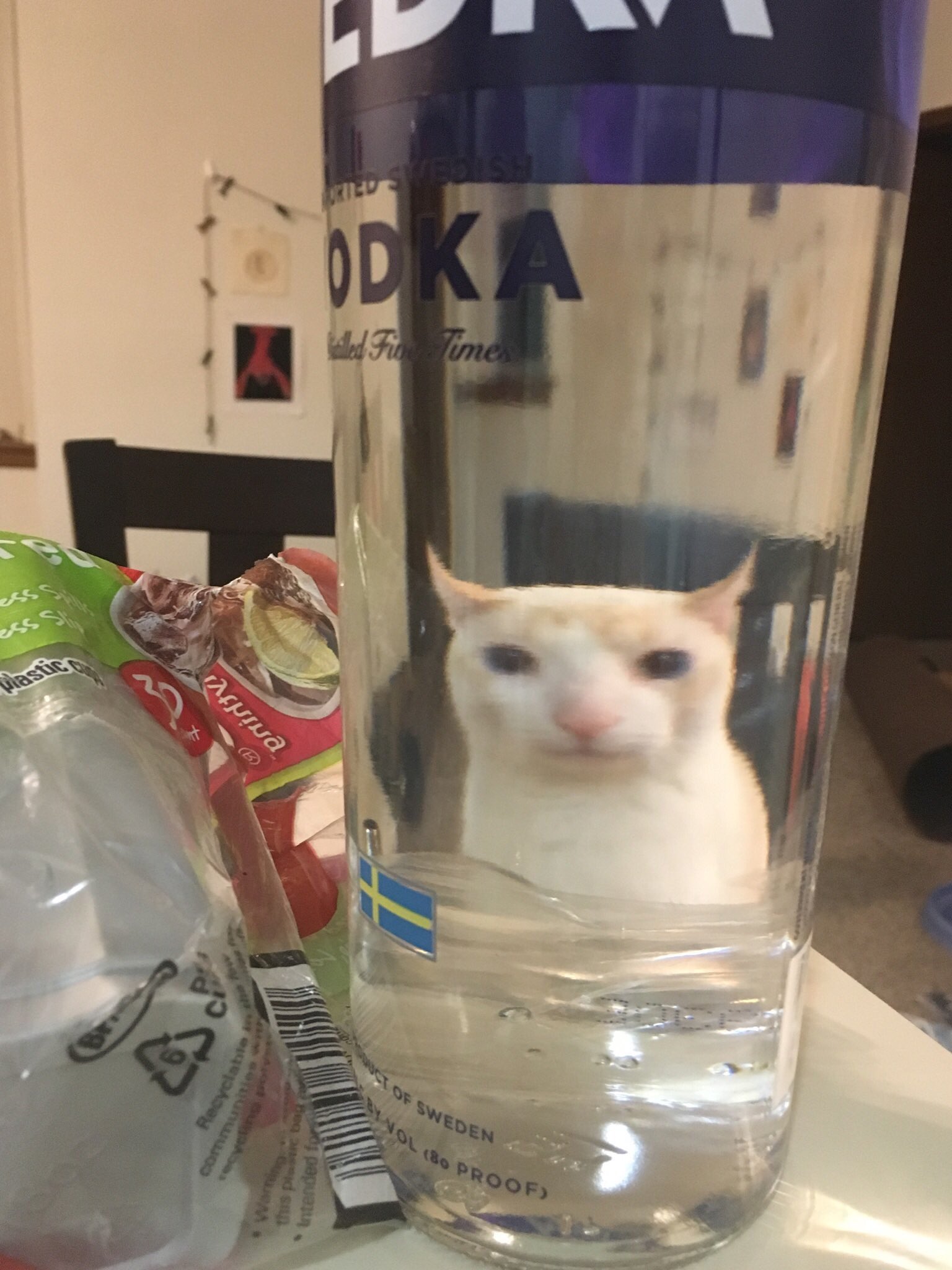 Meowy on X Stressed out traveller Here have a cat infused bottle of vodka https t 6kVmbVsEwP X
