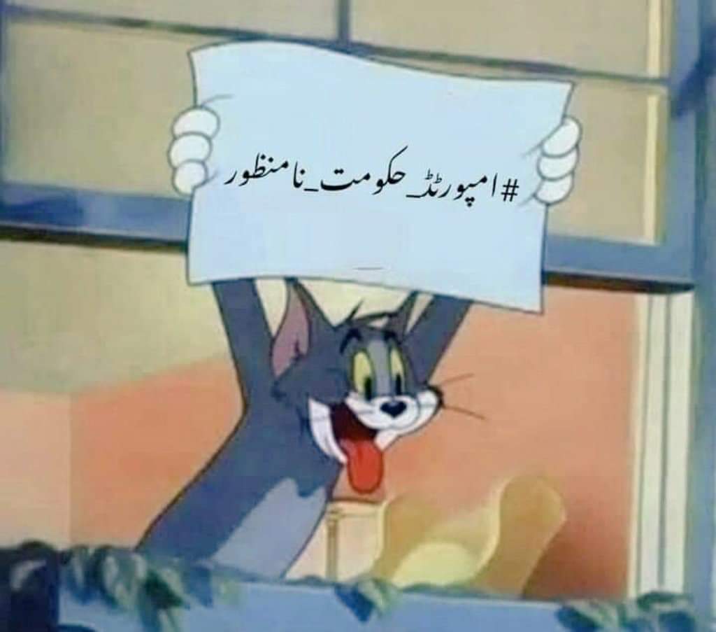 Abrar_views's tweet photo. #امپورٹڈ_حکومت_نامنظور
There are PTI bots everywhere on twitter and I am one of them! https://t.co/fCLBTIev0N