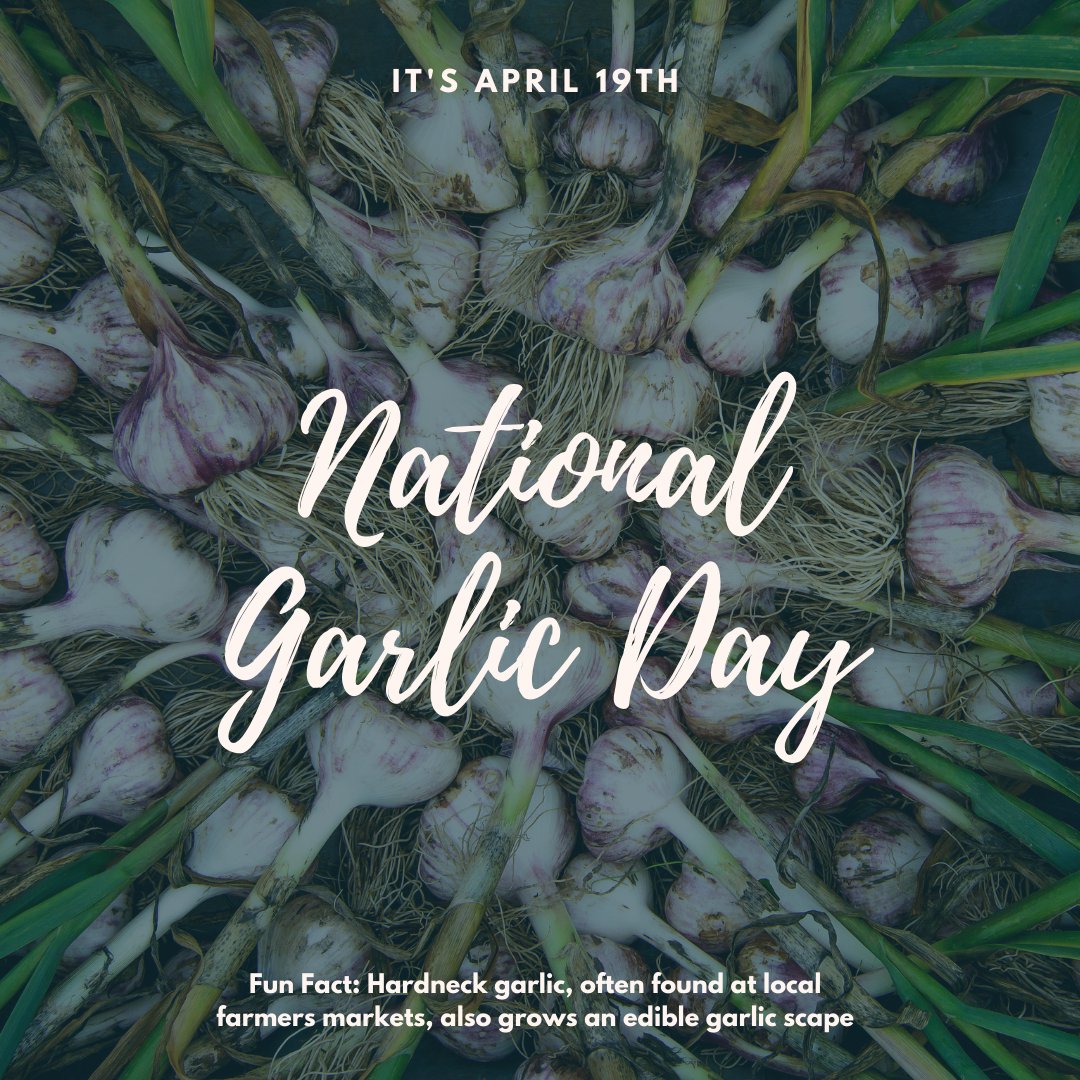 ?Today is National Garlic Day, the day vampires everywhere fear!? If you're looking to fully embrace the holiday, roast garlic bulb halves in the oven and spread on fresh bread for a mouthwatering appetizer. Click here for more: rdar.li/RerY4Ed
