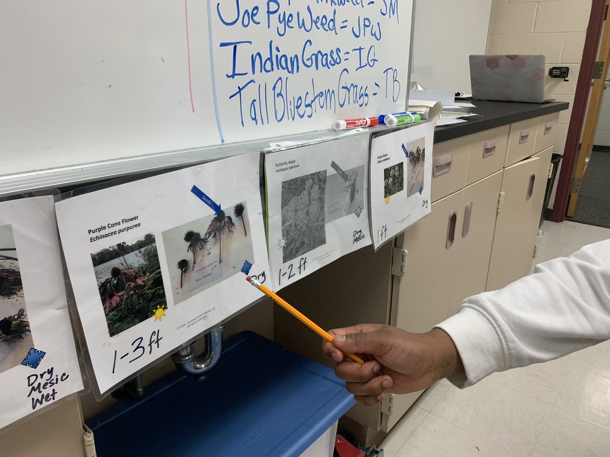 GrowGreenHearts's tweet photo. Student leaders at Westwood Middle are using math skills and 4-D thinking for #nativeplant garden design #cleanwaterMN 🌼🌱💦#enviroSTEM with #growinggreenhearts💚
in partnership with @AnokaCoLibrary, Coon Creek Watershed District & @SLP_Schools
🌎Thank you student leaders!🌏 https://t.co/303MeyEaV1