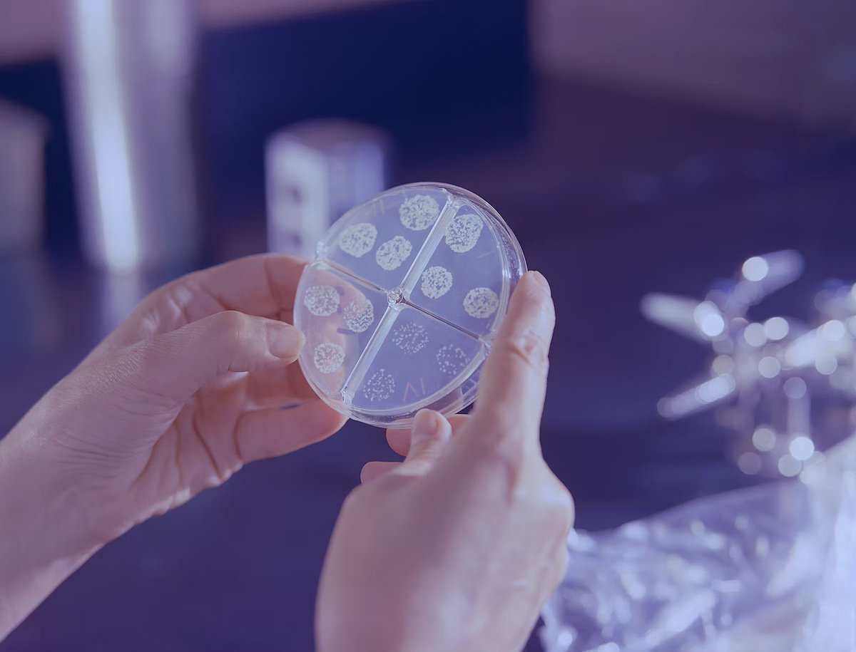 PLOS Medicine (@plosmedicine) on Twitter photo 📢 Call for Papers: PLOS Medicine Special Issue
‘Bacterial Antimicrobial Resistance: Surveillance and Prevention’
Please see plos.io/AMR for more information and submission guidelines.
<a href="/OneHealthTrust/">One Health Trust</a> <a href="/UniofOxford/">University of Oxford</a> <a href="/unifesp/">Unifesp</a>
#AMR #antibiotics #superbugs #globalhealth 📢 Call for Papers: PLOS Medicine Special Issue
‘Bacterial Antimicrobial Resistance: Surveillance and Prevention’
Please see plos.io/AMR for more information and submission guidelines.
<a href="/OneHealthTrust/">One Health Trust</a> <a href="/UniofOxford/">University of Oxford</a> <a href="/unifesp/">Unifesp</a>
#AMR #antibiotics #superbugs #globalhealth