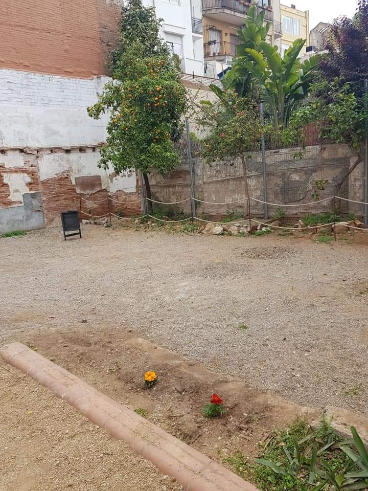 SalvemAlzina's tweet photo. ↪️ Hem anat a buscar aigua a la font per regar i hem acollit amb alegria la generosa donació del Jardí del Silenci. #Gràcies 🙏 ♻️ 🥳 #MalgratTot (tifes, pipis, forats i troncs malmesos... ), l'espai es va (re)omplint de vida. Seguim! #DefensemElVerd #natura #floraespontània 💚 https://t.co/16YPkp09qX