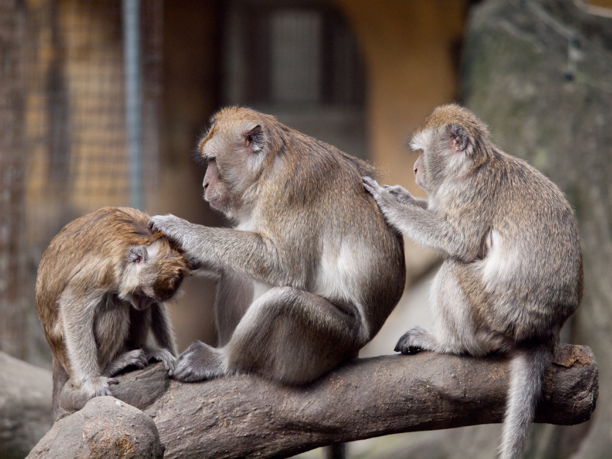 JaniceLederman tweet picture
