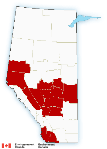 Avertissement de neige dans le centre et le sud de l’Alberta. Entre 10 et 20 cm pourraient s’accumuler dans la plupart des régions concernées d’ici ce soir et demain matin. #RCAB