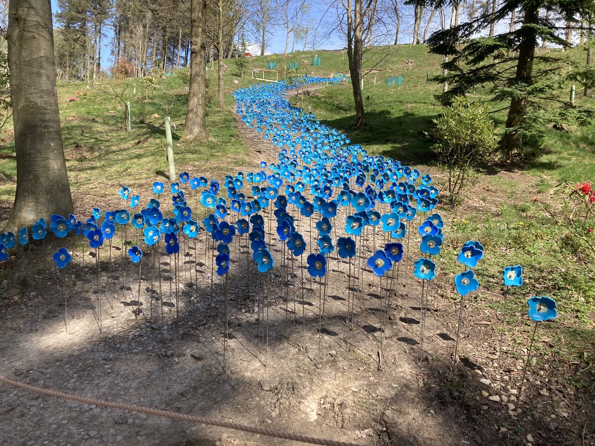 Angela Schofield tweet media