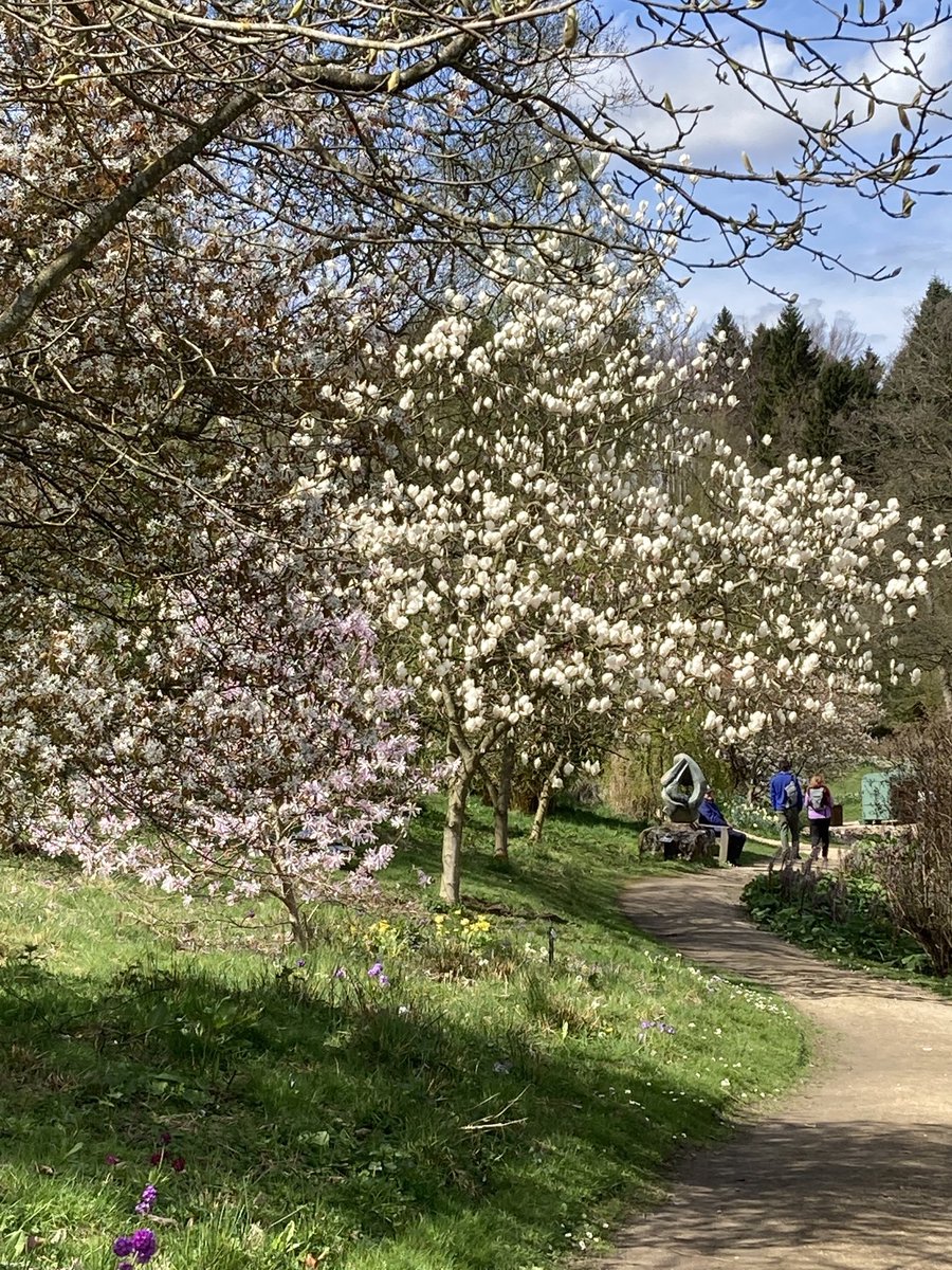 Angela Schofield tweet media