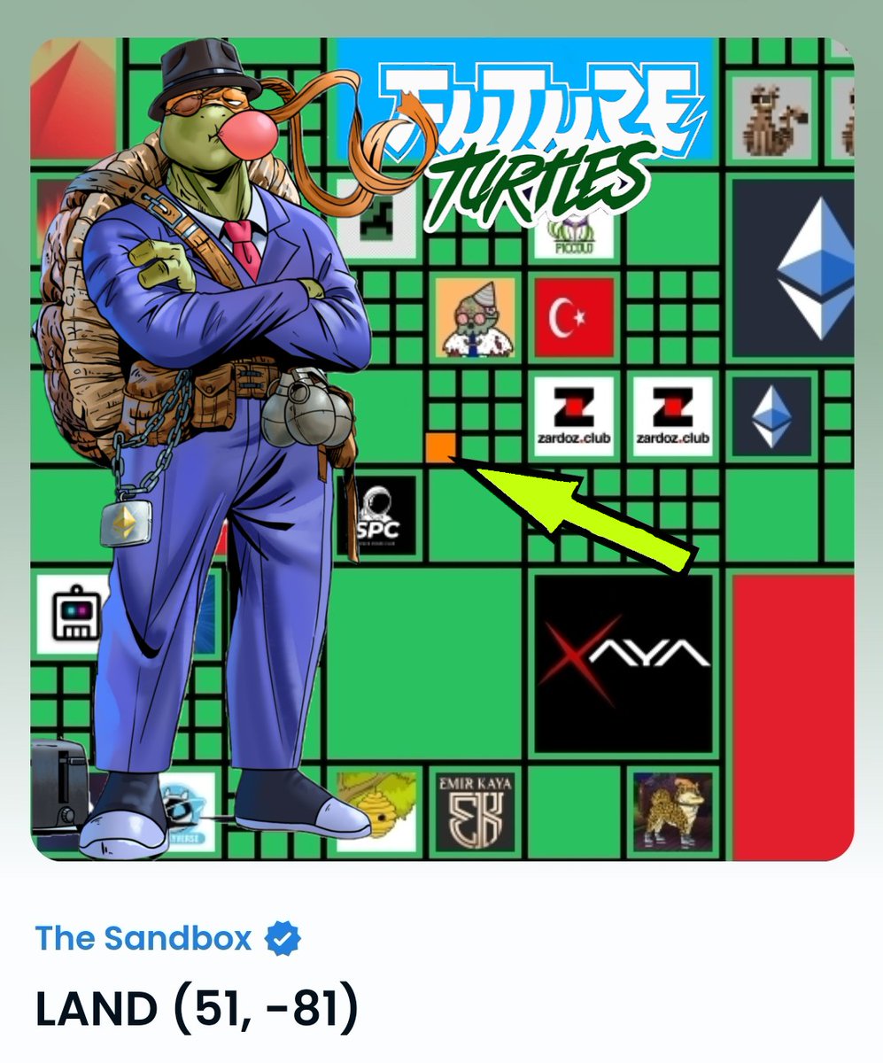 Future Turtles | 1st Drop Complete! tweet media