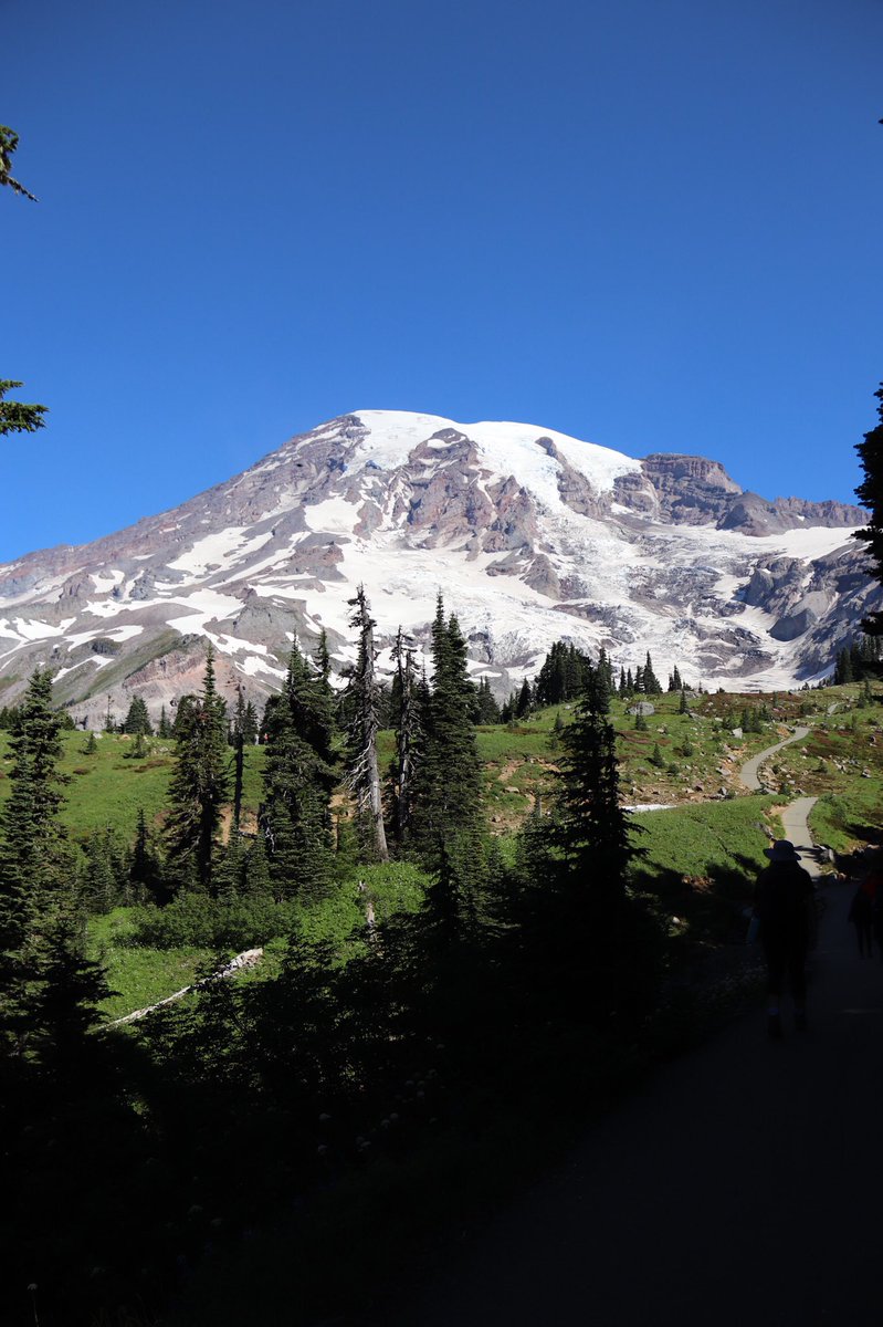MollyHolmberg's tweet photo. Afternoons in Rainier #mtrainier #NationalParksWeek #nationalparks #Washington #rainiernationalpark https://t.co/5O1Zlnup2k