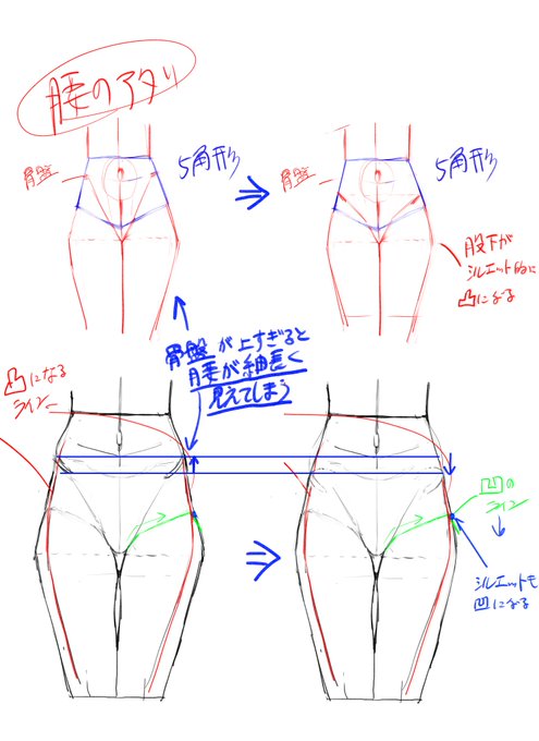 骨盤が上すぎるとなんか細長い印象になってしまうなという今日の気づきメモ 