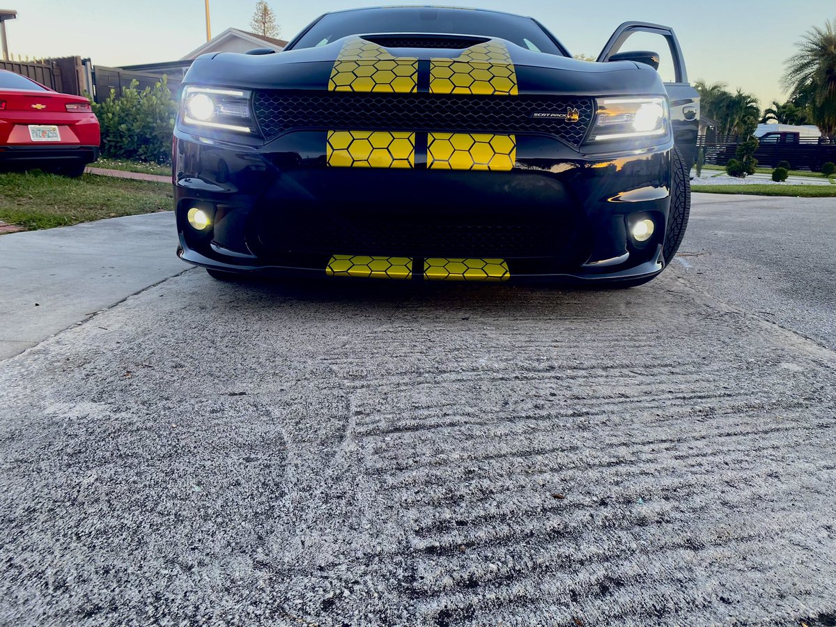 OTFfrezzy's tweet photo. 🐝 https://t.co/CWJrTEGDJ0