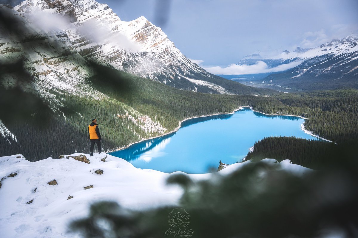 Adam Goodwillie tweet media